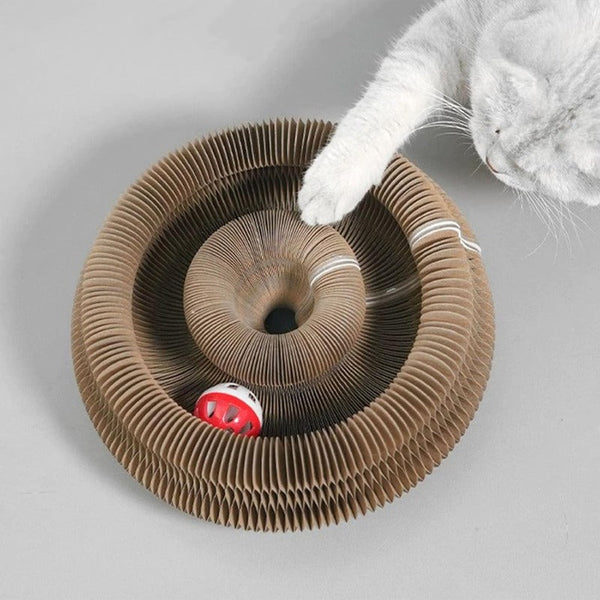 Magic Organ Cat Scratcher