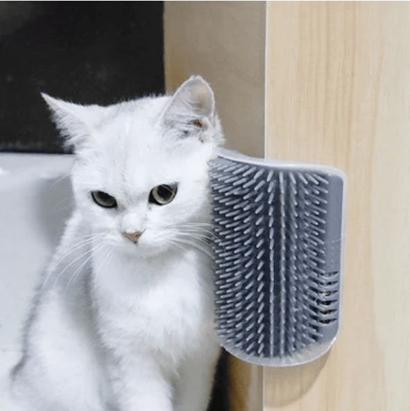 🔥🔥Cat Self Grooming Massage Toy Brush🌙