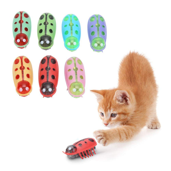 🐱Pet Electric Bug Toy🐞