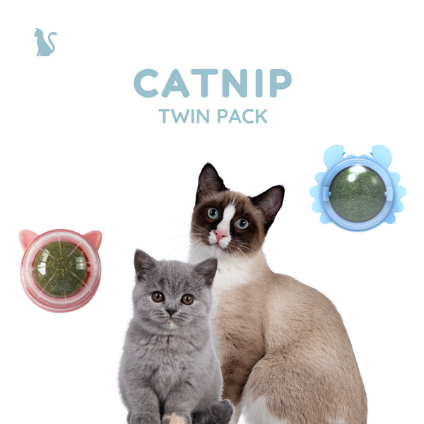 Celery Pets Catnip Twin Pack